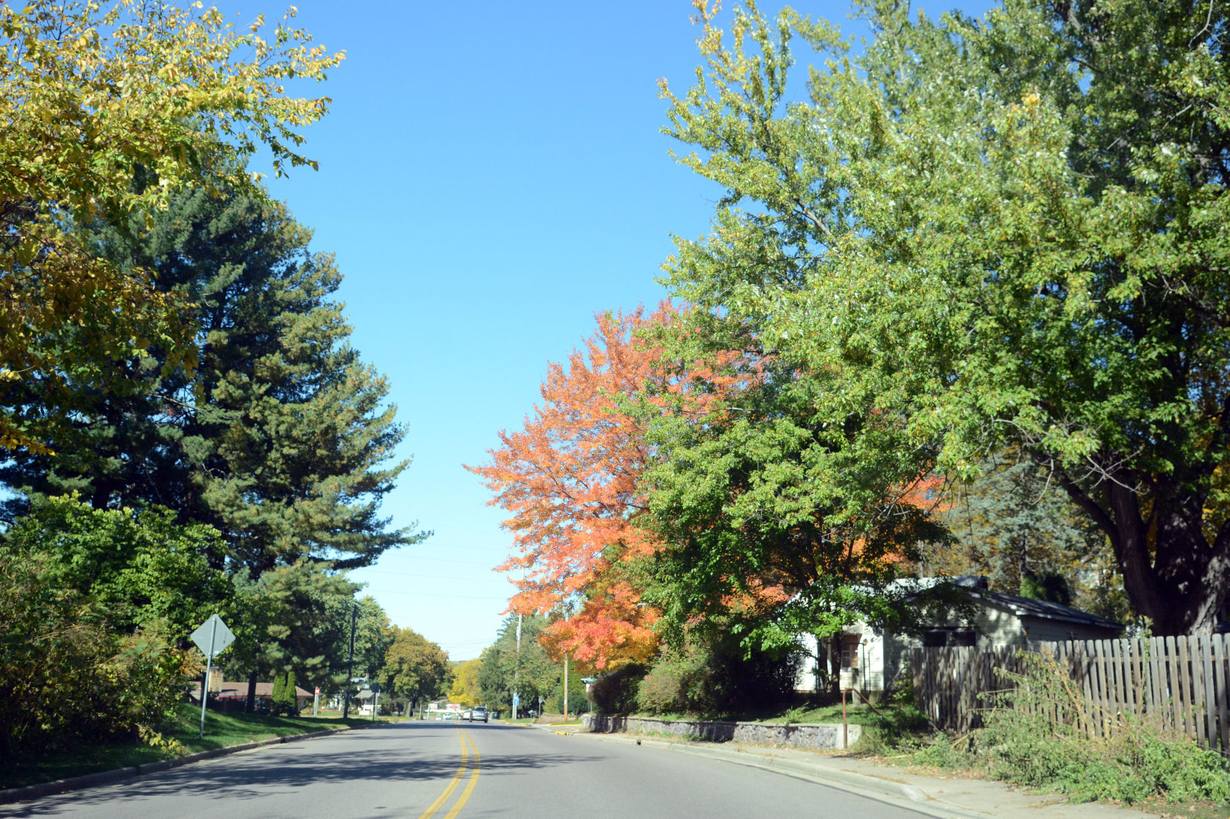 Baraboo area fall color, Oct. 8, 2020